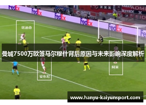 曼城7500万欧签马尔穆什背后原因与未来影响深度解析